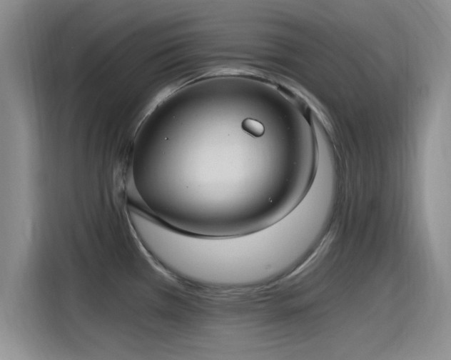 X0000115261385200911061230