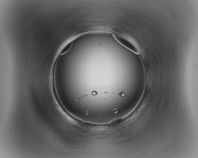 X0000115261387200911061230
