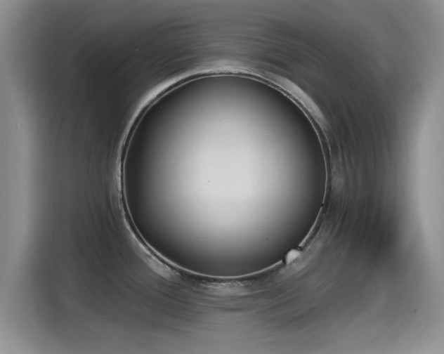 X0000115261388200911061230
