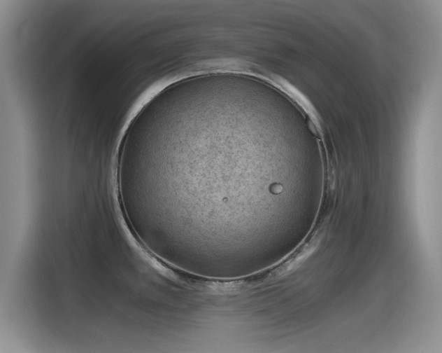 X0000115261389200911061230