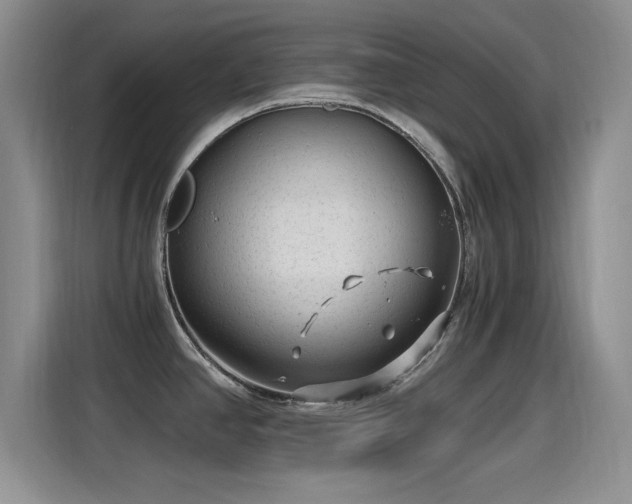 X0000115261390200911061230
