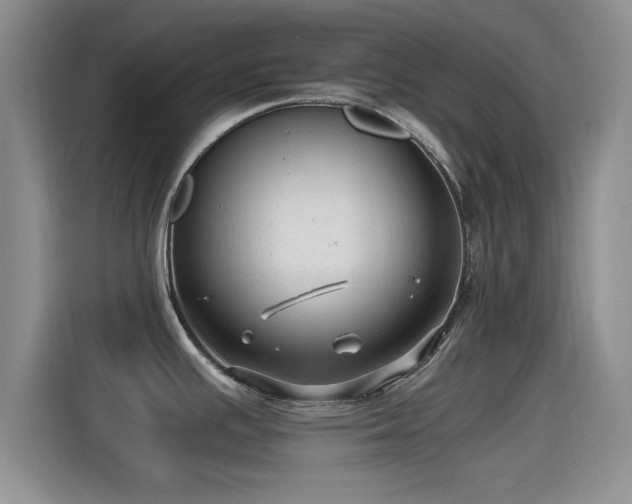 X0000115261391200911061230