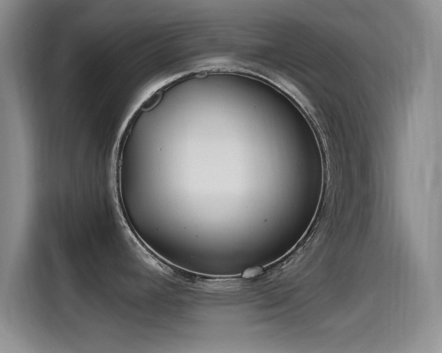 X0000115261392200911061230