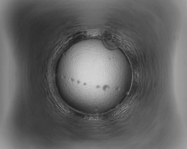 X0000115261393200911061229