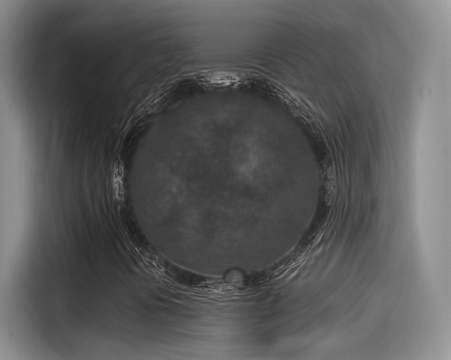 X0000115261394200911061229