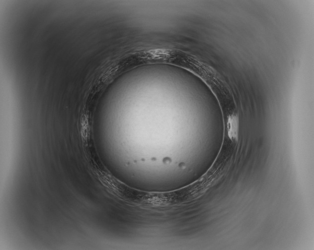 X0000115261395200911061229