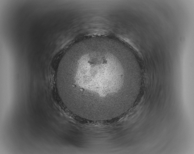 X0000115261399200911061229