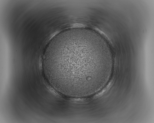X0000115261401200911061229