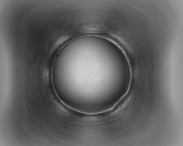 X0000115261402200911061229