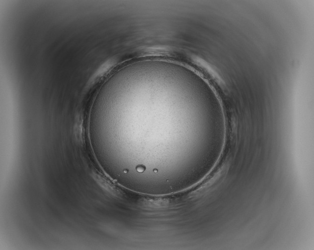 X0000115261403200911061229