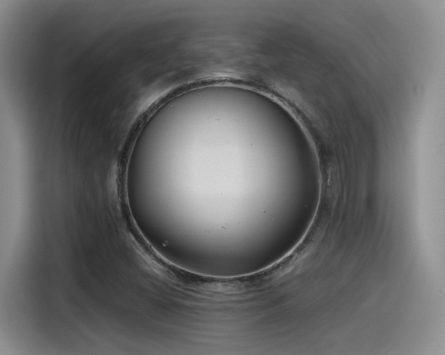 X0000115261404200911061229