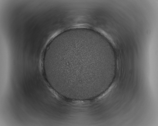X0000115261405200911061229