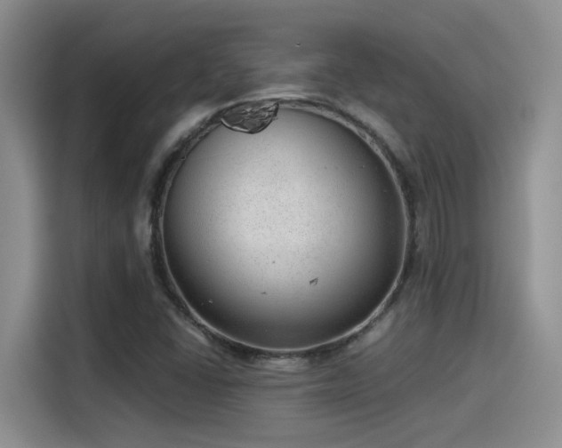 X0000115261406200911061229