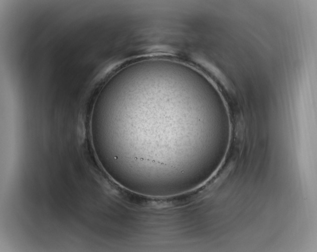 X0000115261407200911061229
