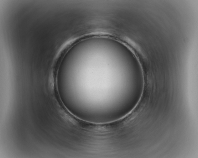 X0000115261408200911061229