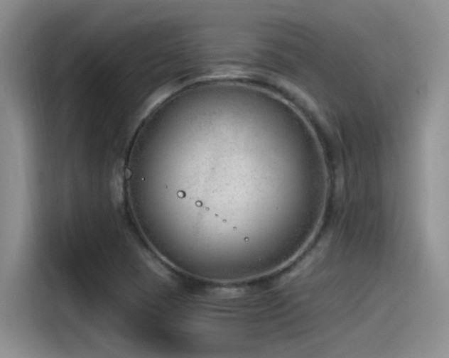 X0000115261409200911061230