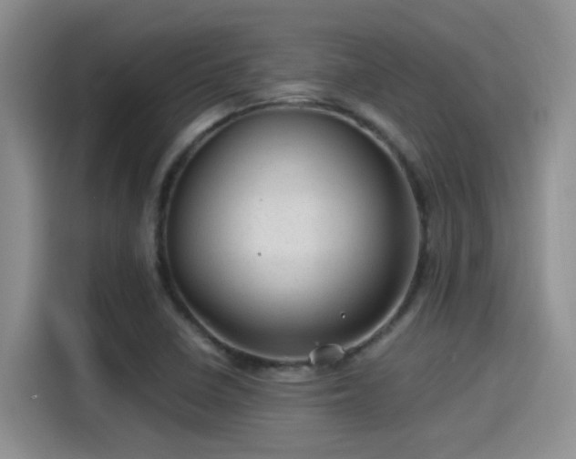 X0000115261410200911061230