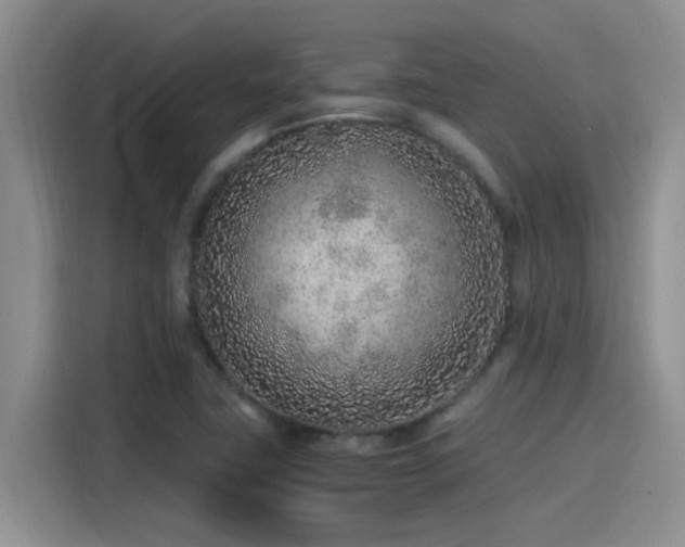 X0000115261411200911061230