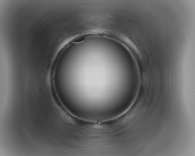 X0000115261412200911061230