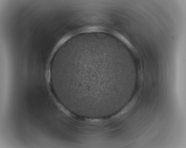X0000115261413200911061230