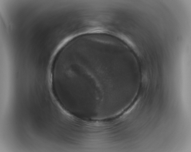 X0000115261414200911061230