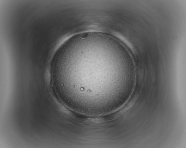 X0000115261415200911061230