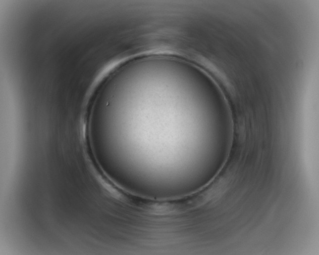 X0000115261416200911061230