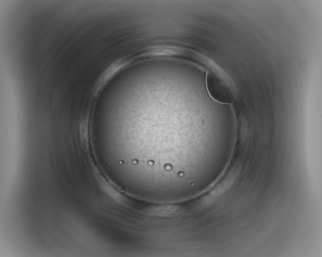 X0000115261417200911061230