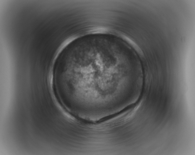 X0000115261418200911061230