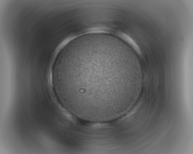 X0000115261419200911061230