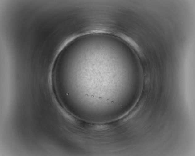 X0000115261423200911061230
