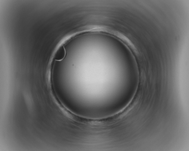 X0000115261424200911061230