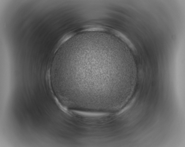 X0000115261425200911061230