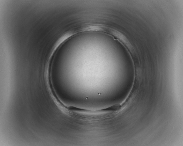X0000115261426200911061230
