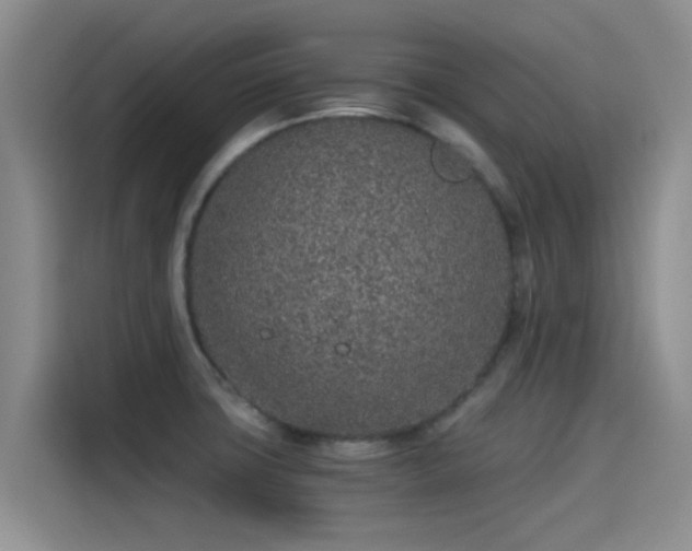 X0000115261427200911061230
