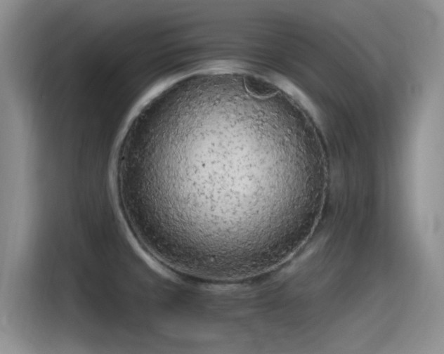 X0000115261429200911061230