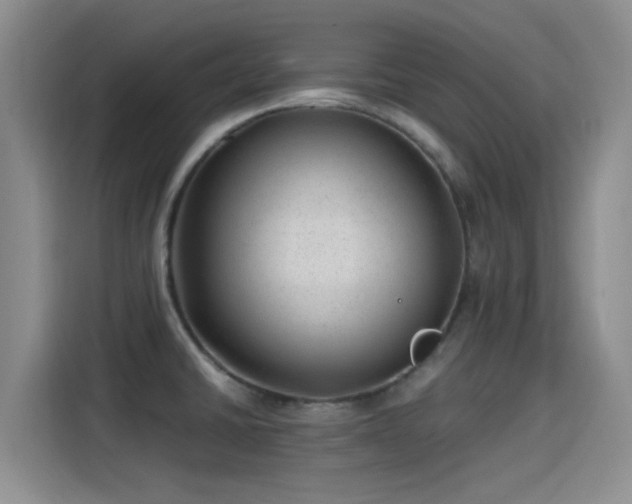 X0000115261430200911061230