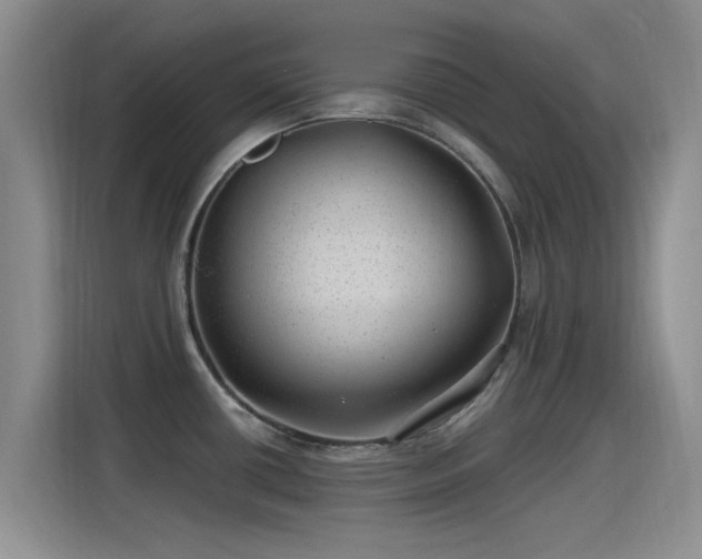 X0000115261434200911061230