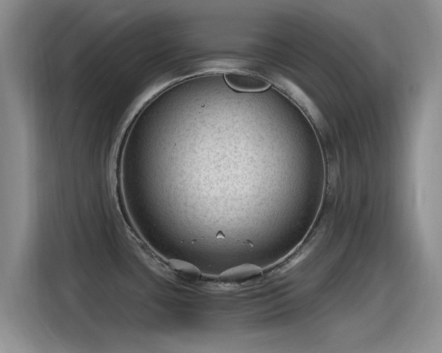 X0000115261435200911061230