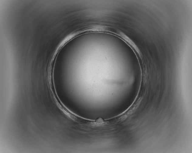 X0000115261437200911061230