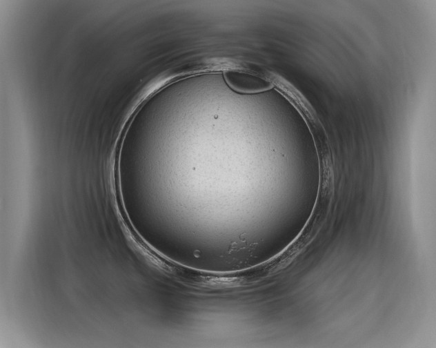 X0000115261439200911061230