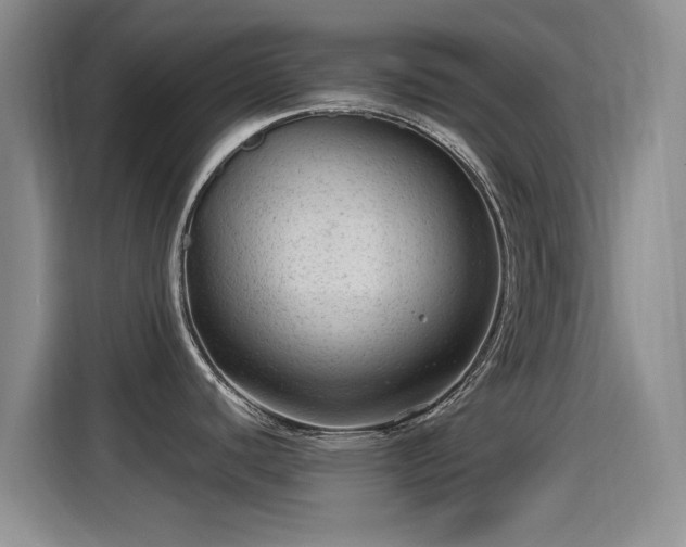 X0000115261440200911061230