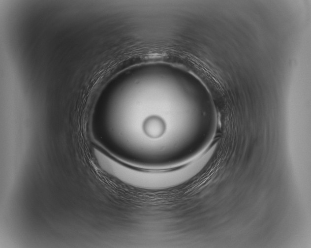 X0000115261441200911061229
