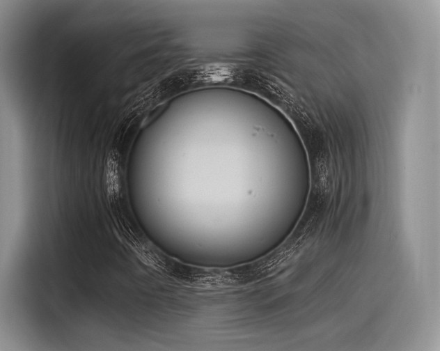 X0000115261442200911061229