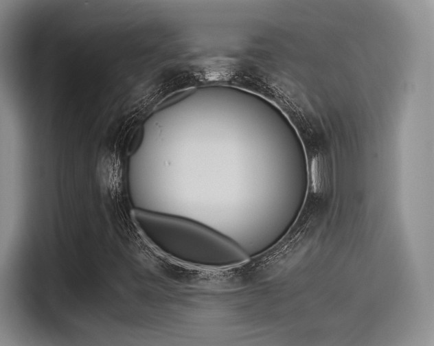 X0000115261443200911061229