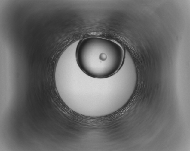 X0000115261444200911061229