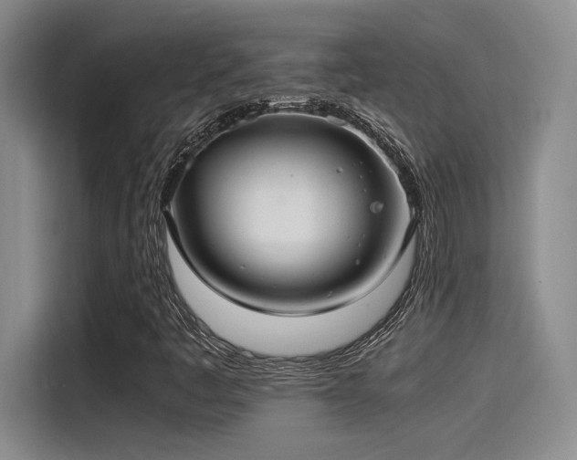 X0000115261445200911061229