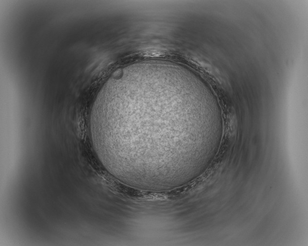 X0000115261446200911061229