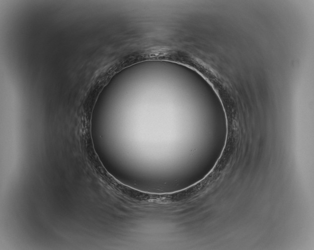 X0000115261447200911061229