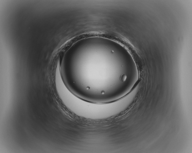 X0000115261448200911061229